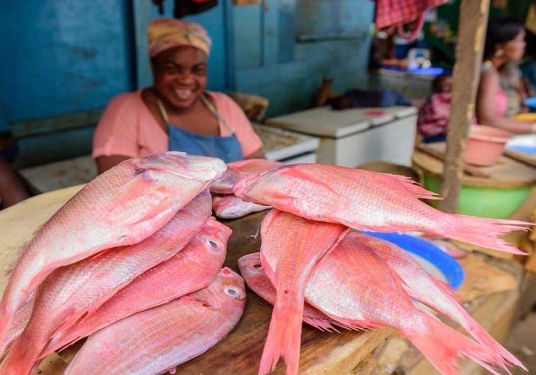 Market Research on Fish Farming and Aquaculture in Ghana